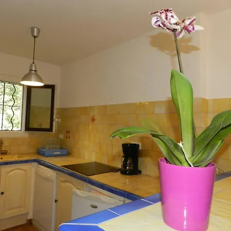 Le Lavandou, 3 Pieces, 4 Personnes - Fr-1-251-646 Apartment *