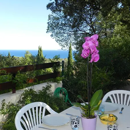 Le Lavandou, 3 Pieces, 4 Personnes - Fr-1-251-646 *